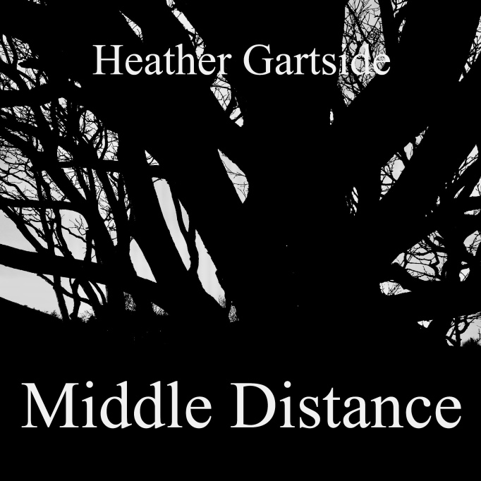 Middle Distance Book Cover 